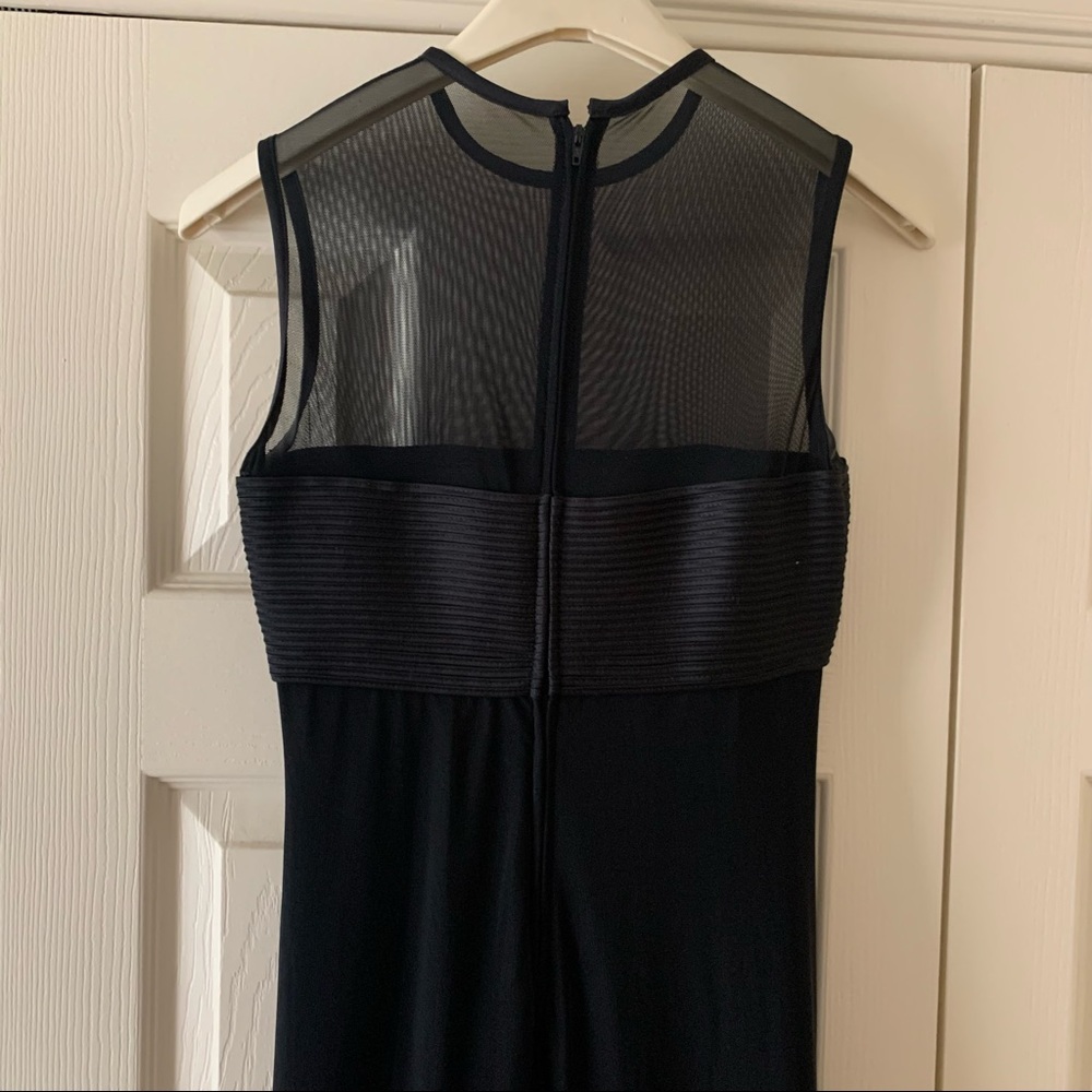 Designer Tadashi Shoji - Floor Length Mesh Dress - Size 02P - Picture 5 of 8
